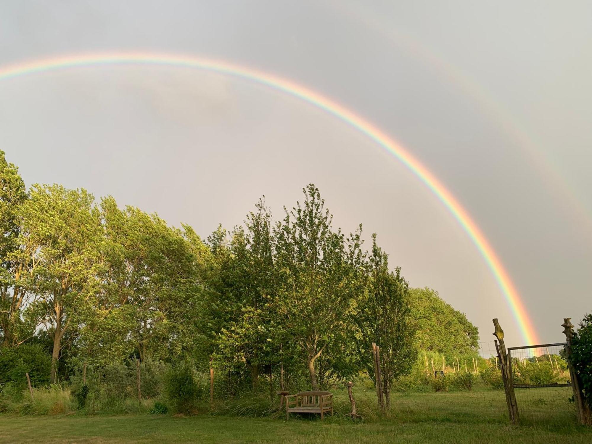 Tusindfrugt B&B Store Heddinge Exteriér fotografie