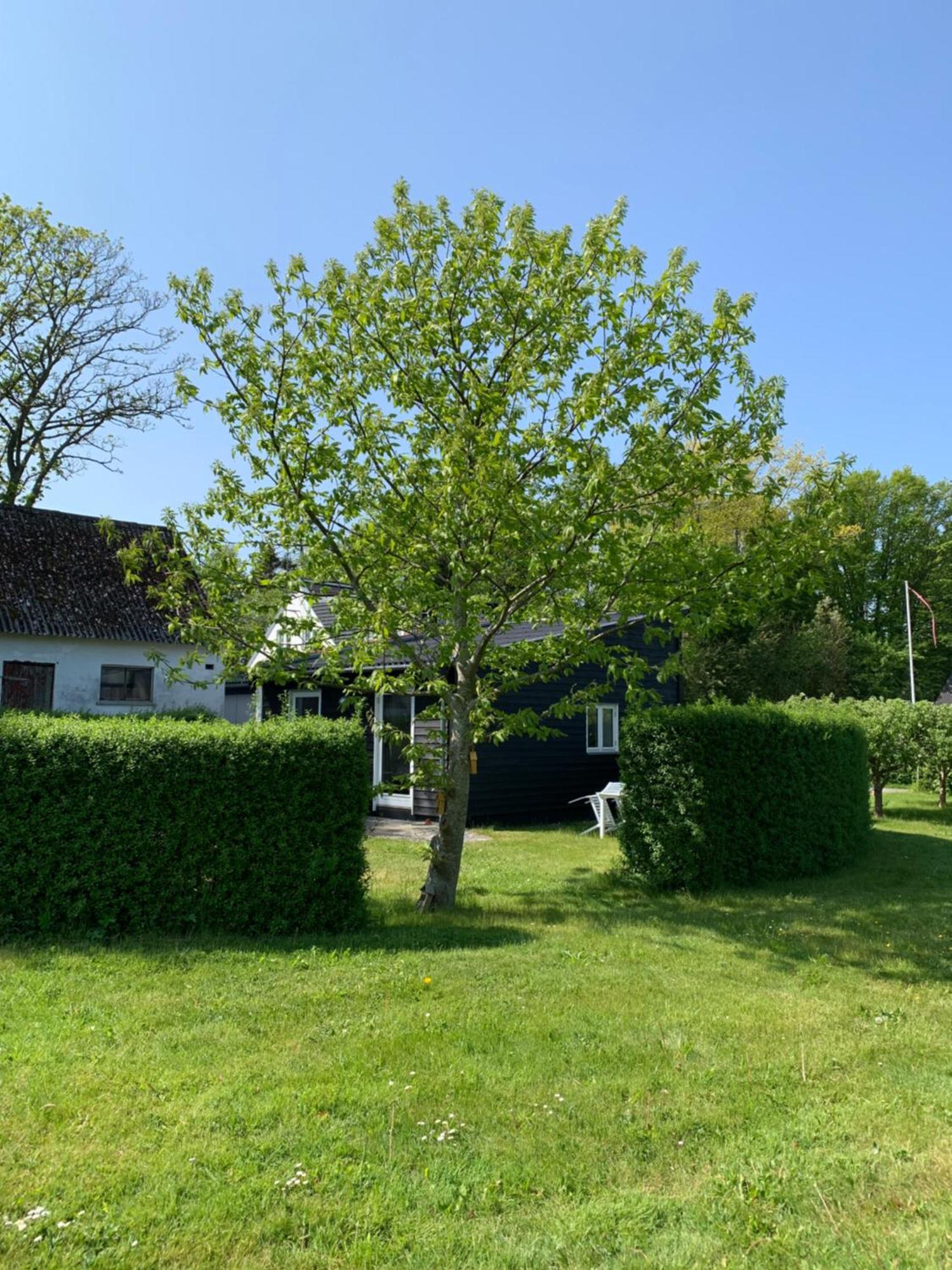 Tusindfrugt B&B Store Heddinge Exteriér fotografie
